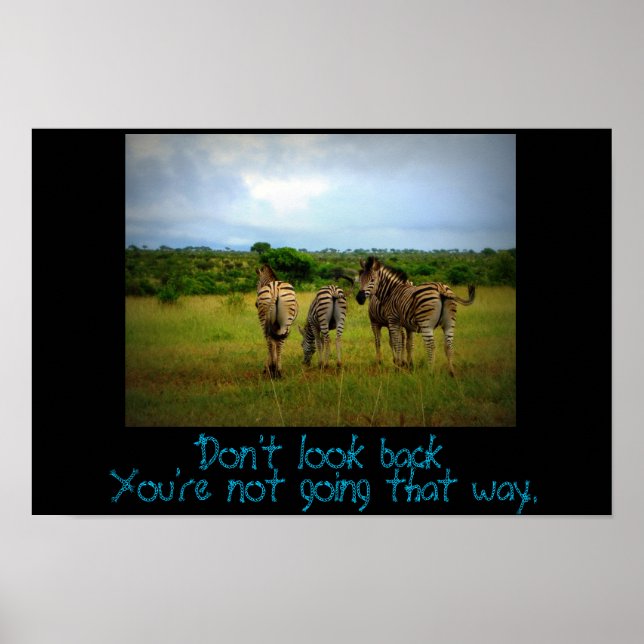 Quote with African Zebras in a Natural Setting. Poster (Front)