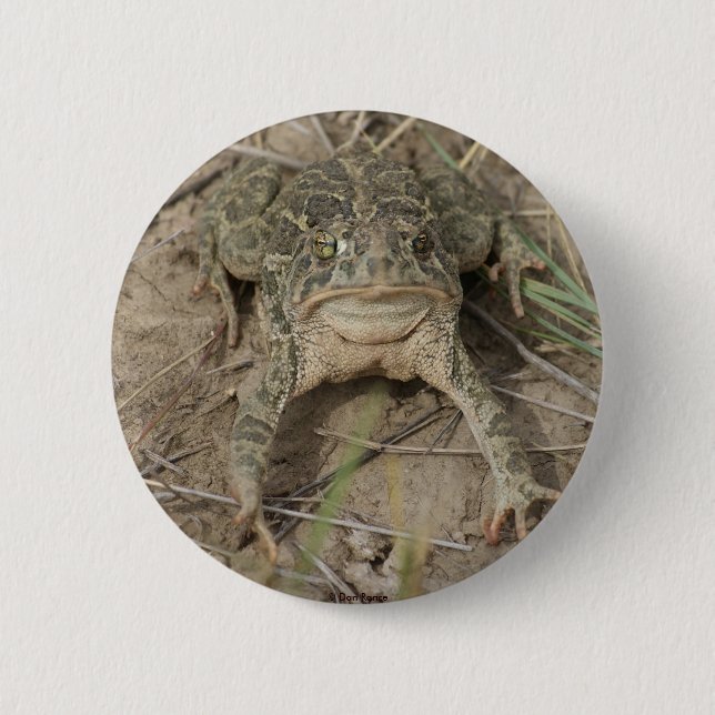 R10 Prairie Toad 6 Cm Round Badge (Front)