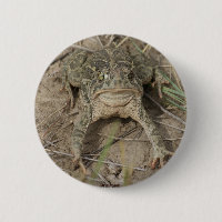 R10 Prairie Toad