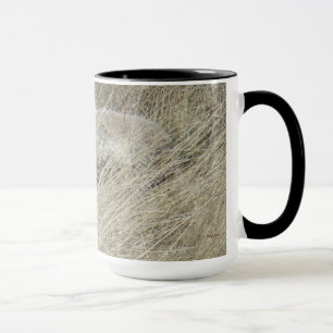 R13 Coyote in Tall Grass Mug