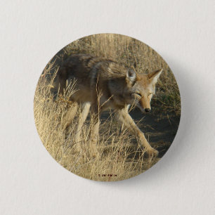 R14 Coyote Walking 6 Cm Round Badge
