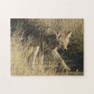 R14 Coyote Walking Jigsaw Puzzle