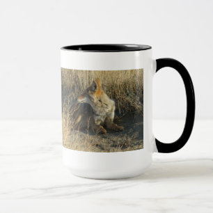 R16 Coyote Laying Mug