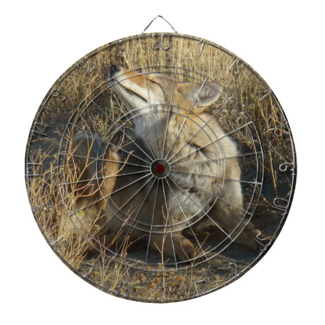 R17 Coyote Scratching Dartboard (Front)