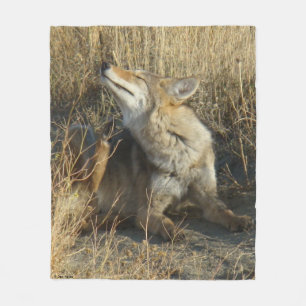 R17 Coyote Scratching Fleece Blanket