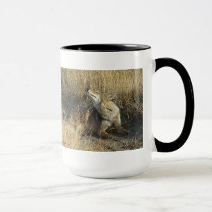 R17 Coyote Scratching Mug