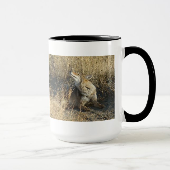 R17 Coyote Scratching Mug (Right)