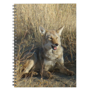 R18 Coyote Laying Notebook