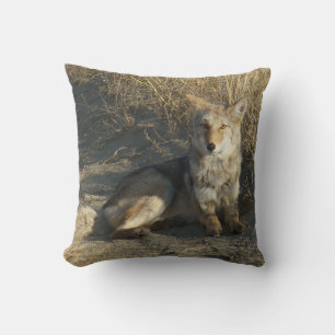 R19 Coyote Laying Cushion