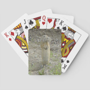 R1 Richardson's Ground Squirrel Playing Cards