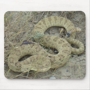 R20 Prairie Rattlesnake Wounded Mouse Pad