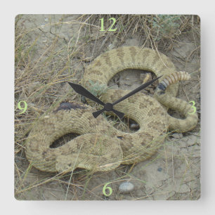 R20 Prairie Rattlesnake Wounded Square Wall Clock
