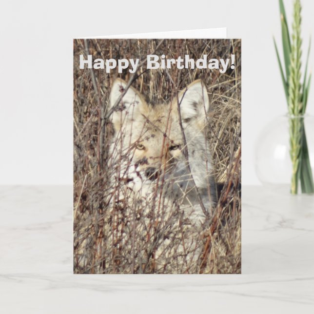 R21 Coyote "Watching You" Card (Front)