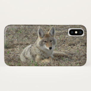 R22 Coyote Laying iPhone X Case