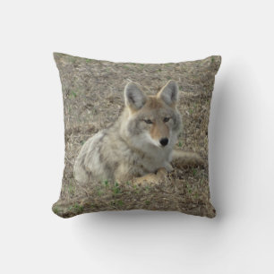 R22 Coyote Laying Cushion