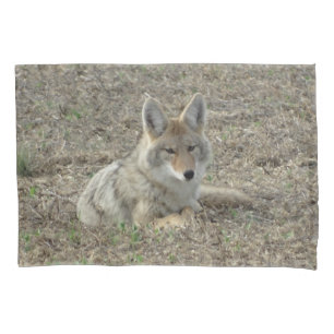 R22 Coyote Laying Pillowcase