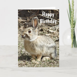 R24 Cotton-tail Rabbit Holiday Card