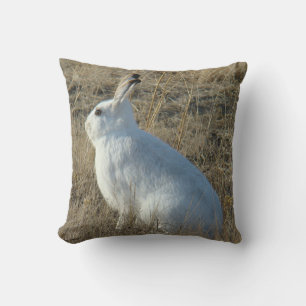 R25 Snowshoe Hare Cushion