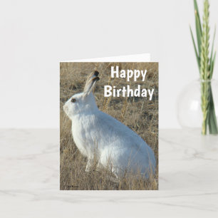 R25 Snowshoe Hare Holiday Card