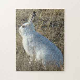 R25 Snowshoe Hare Jigsaw Puzzle