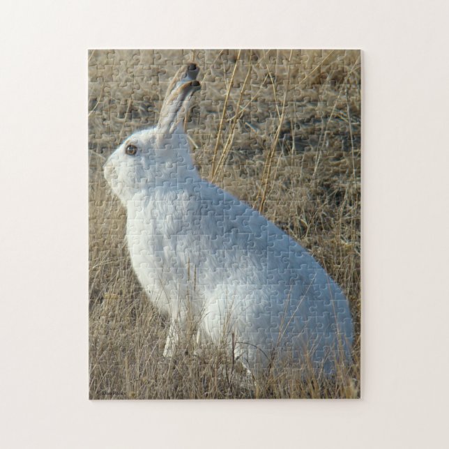 R25 Snowshoe Hare Jigsaw Puzzle (Vertical)