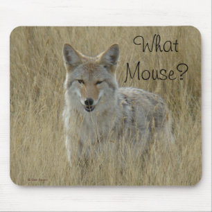 R2 Coyote in Tall Grass Mouse Pad