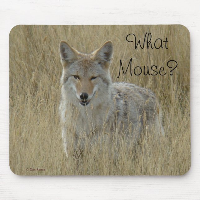 R2 Coyote in Tall Grass Mouse Pad (Front)