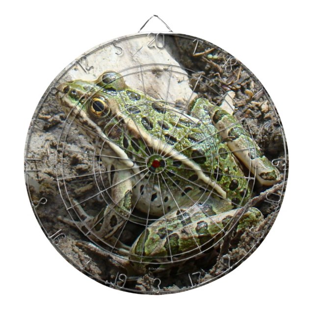 R3 Leopard Frog Dartboard (Front)
