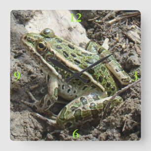 R3 Leopard Frog Square Wall Clock