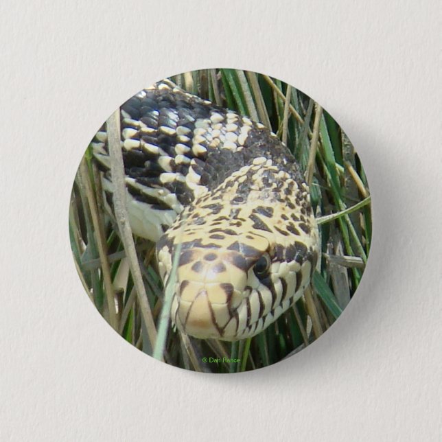 R4 Bull Snake 6 Cm Round Badge (Front)