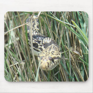 R4 Bull Snake in Grass Mouse Pad