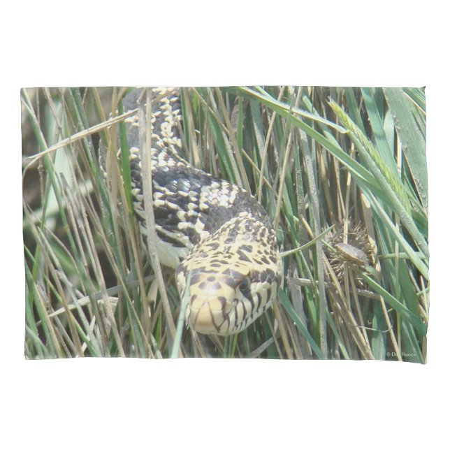 R4 Bull Snake in the Grass Pillowcase (Front)