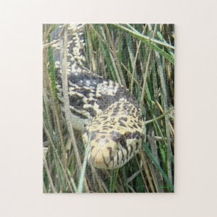 R4 Bull Snake Jigsaw Puzzle