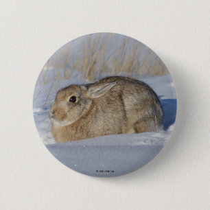 R5 Cottontail Rabbit in Snow 6 Cm Round Badge