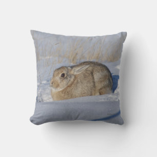 R5 Cottontail Rabbit in Snow Cushion
