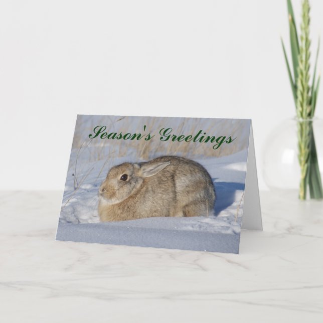 R5 Cottontail Rabbit in snow Holiday Card (Front)