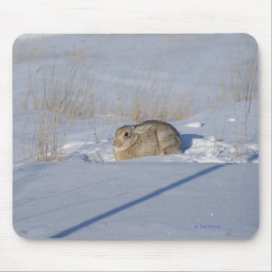R5 Cottontail Rabbit in Snow Mouse Pad