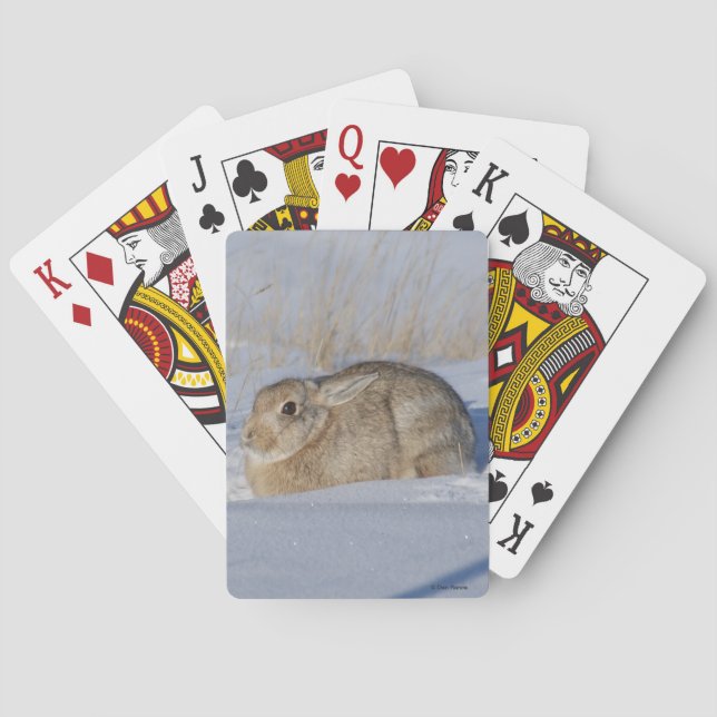 R5 Cottontail Rabbit in Snow Playing Cards (Back)