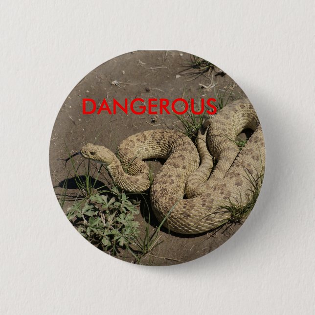 R6 Prairie Rattlesnake 6 Cm Round Badge (Front)