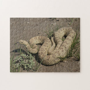 R6 Prairie Rattlesnake Jigsaw Puzzle
