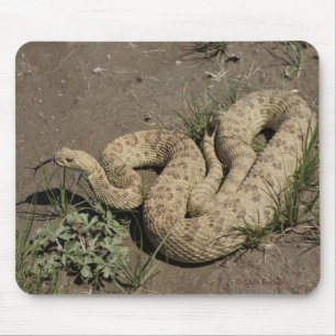 R6 Prairie Rattlesnake Mouse Pad