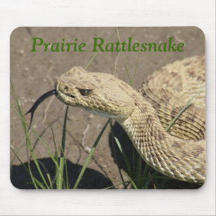 R8 Prairie Rattlesnake Head Mouse Pad