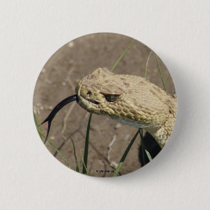 R8 Prairie Rattlesnake Head Shot 6 Cm Round Badge
