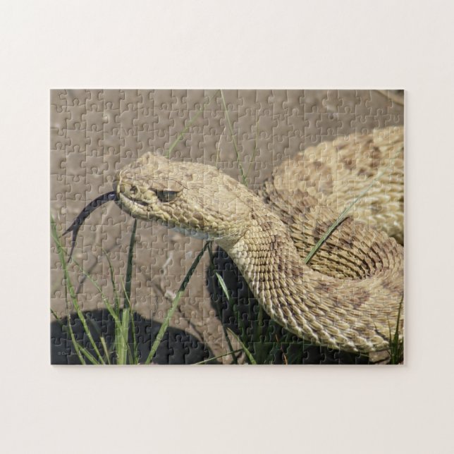R8 Prairie Rattlesnake Head Shot Jigsaw Puzzle (Horizontal)