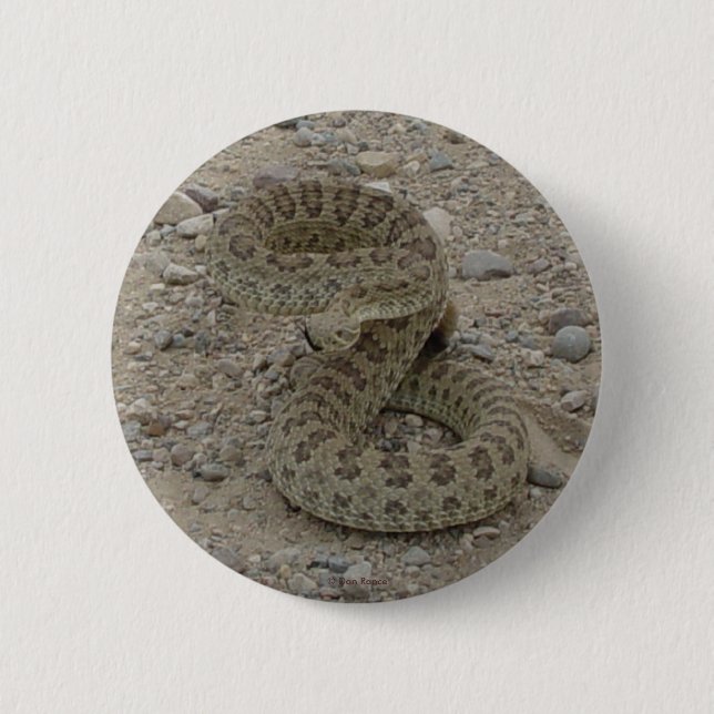 R9 Prairie Rattlesnake 6 Cm Round Badge (Front)
