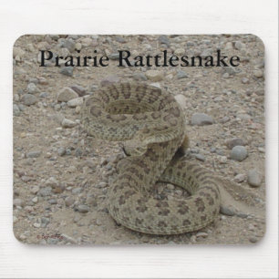 R9 Prairie Rattlesnake Coiled Mouse Pad