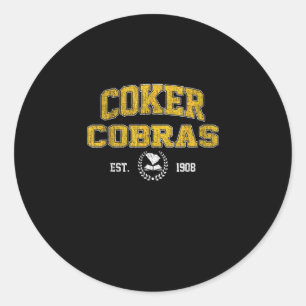 R College Cobras Arch Retro For Men Women  Classic Round Sticker