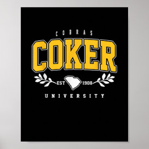 R Institute Cobras Technology Arch Retro For Men W Poster