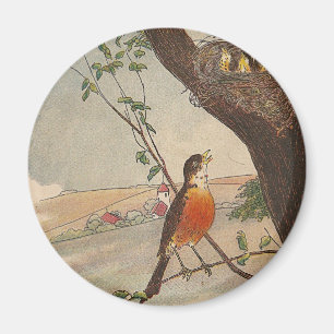 R is for Robin Magnet
