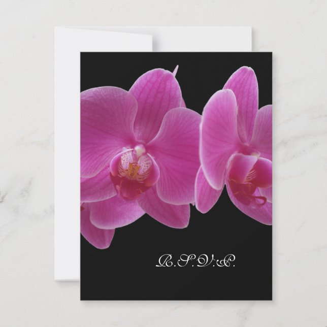 R.S.V.P. With Menu Invitation for 5 x 7 Invite (Front)